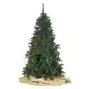 Árbol De Navidad Canadian Expressions 2.10 Metros Con Piñas 1300 Puntas