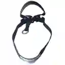 Collar Haltie S