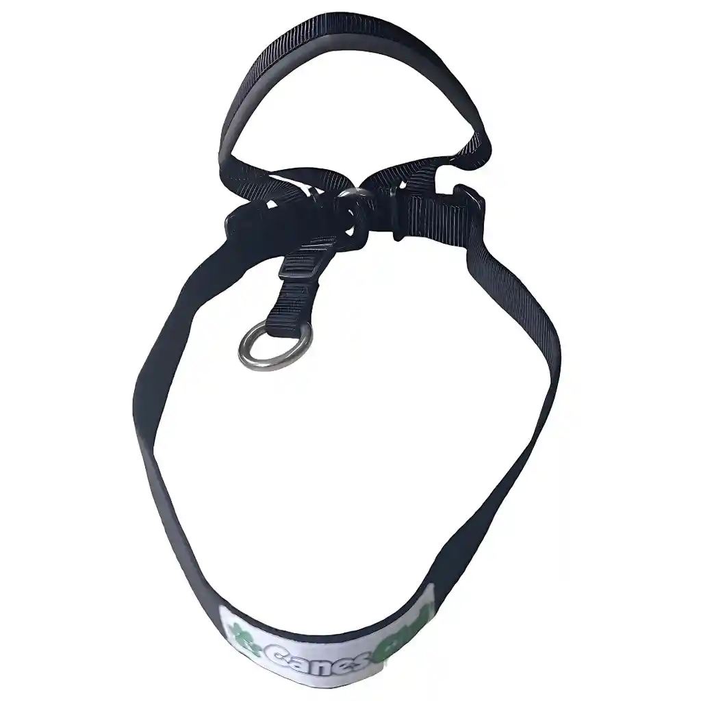 Collar Haltie S