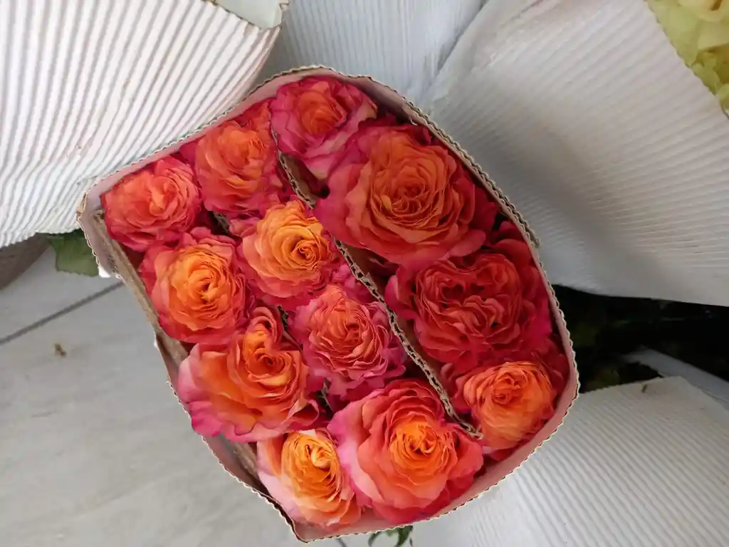 Paquete De Rosas