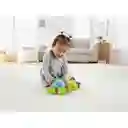 Juguete Estimulación Tortuga De Aprendizaje Para Bebes