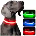 Collar Para Gato Perro Con Luz Led Ajustable Paseo Nocturno Talla :s Color :rojo