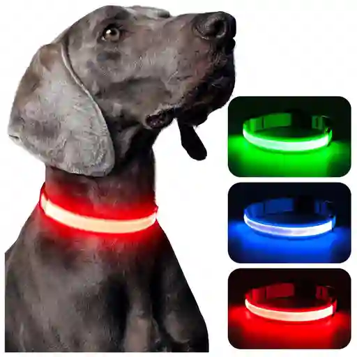 Collar Para Gato Perro Con Luz Led Ajustable Paseo Nocturno Talla :s Color :rojo