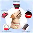 Collar Para Gato Perro Con Luz Led Ajustable Paseo Nocturno Talla :s Color :rojo