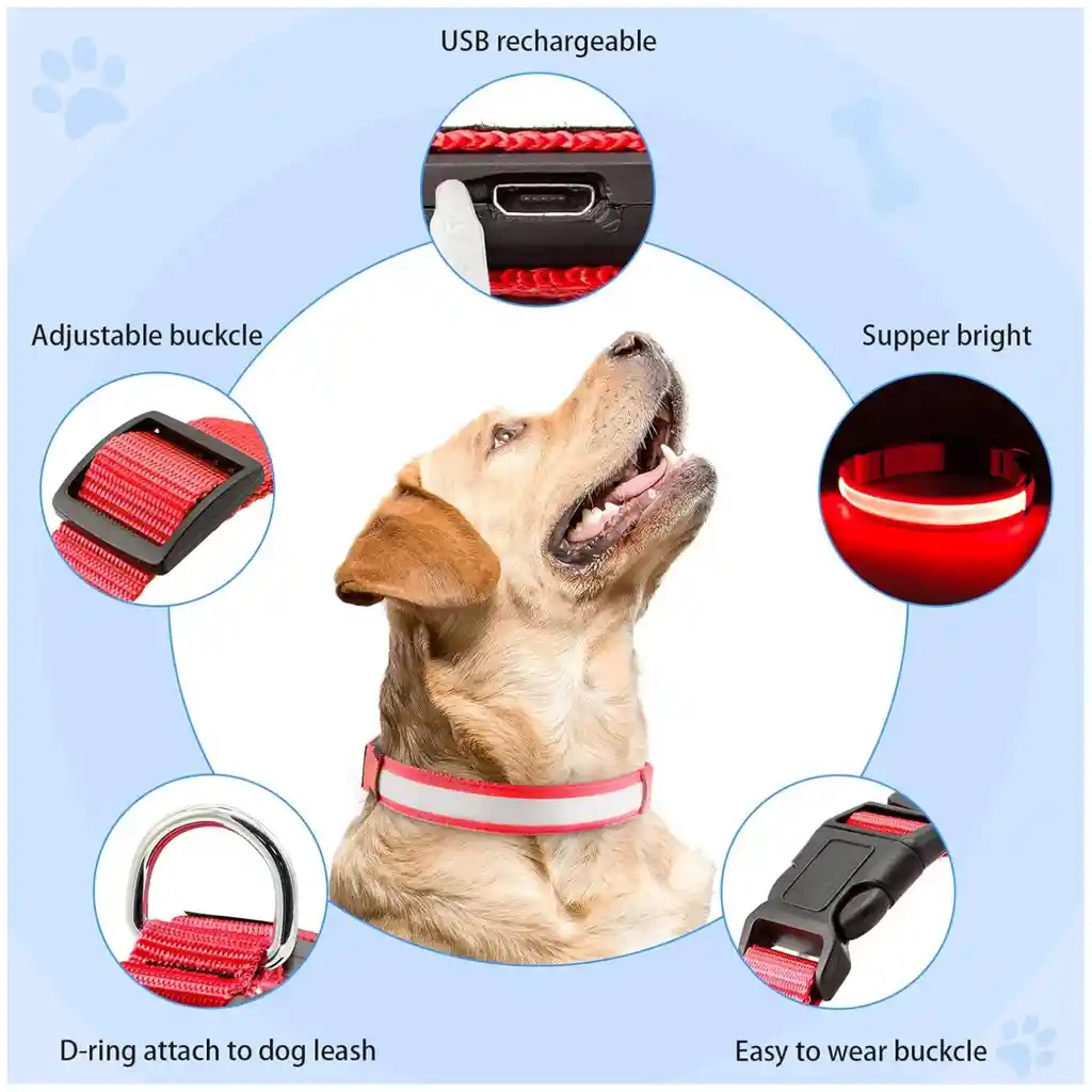 Collar Para Gato Perro Con Luz Led Ajustable Paseo Nocturno Talla :s Color :rojo