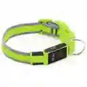 Collar Para Gato Perro Con Luz Led Ajustable Paseo Nocturno Talla:s Color: Verde