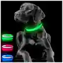 Collar Para Gato Perro Con Luz Led Ajustable Paseo Nocturno Talla:s Color: Verde