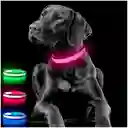 Collar Para Gato Perro Con Luz Led Ajustable Paseo Nocturno Talla: S Color : Rosado