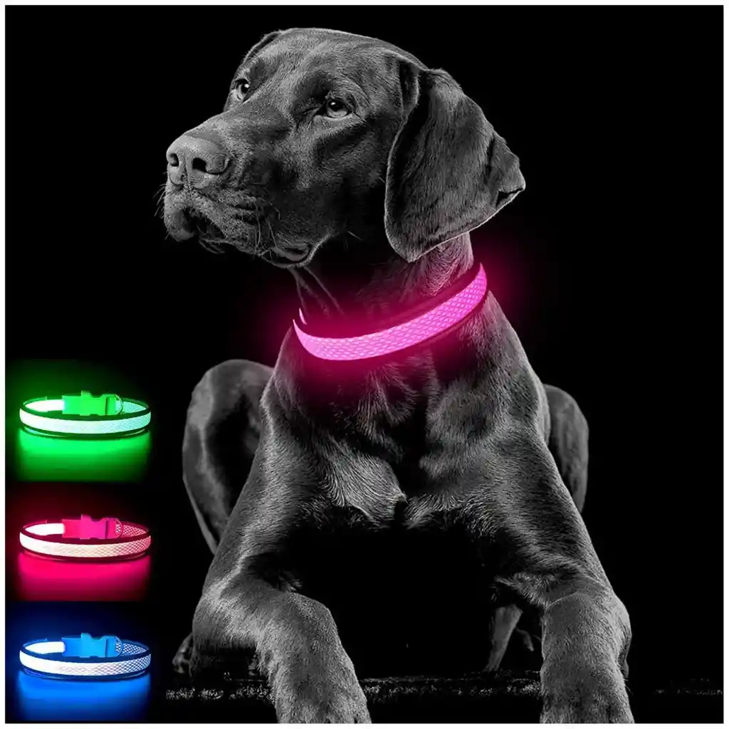 Collar Para Gato Perro Con Luz Led Ajustable Paseo Nocturno Talla: S Color : Rosado