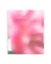 Cuaderno Wyss 6 Materias