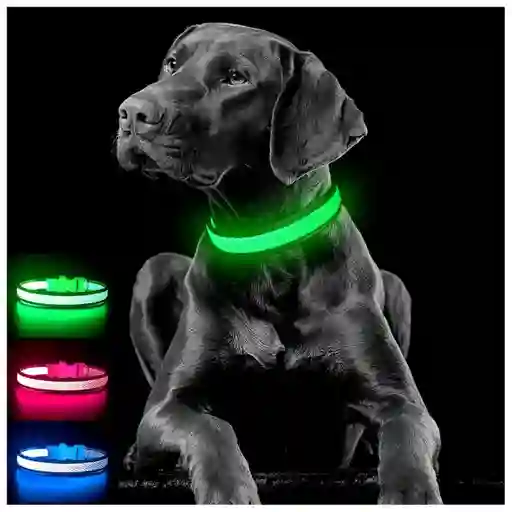 Collar Para Gato Perro Con Luz Led Ajustable Paseo Nocturno Talla:l Color:verde