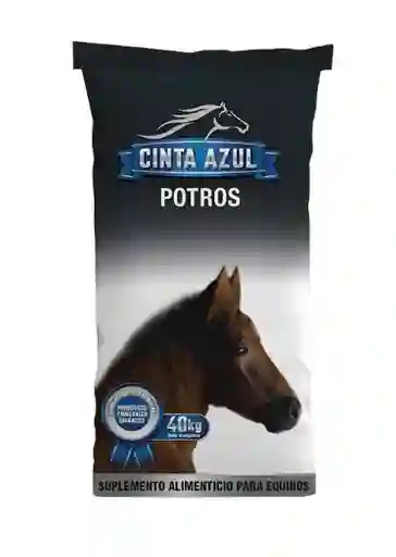 Cinta Azul Potros X 40 Kg