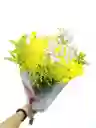 Corazón Primaveral