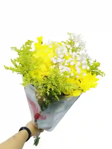 Corazón Primaveral