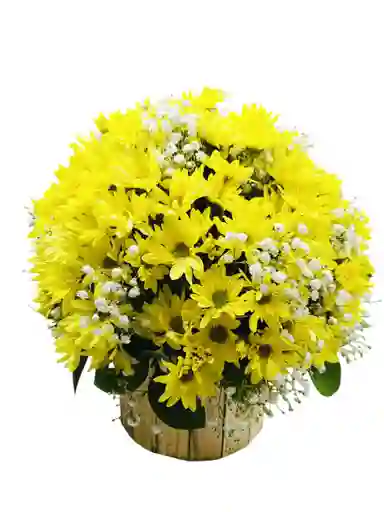 Bombonera Amarilla