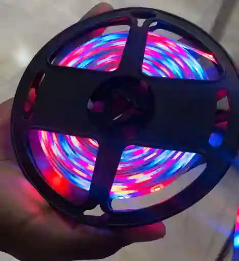 Luz Led 5 Metros