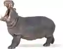 Figura Coleccionable Hipopótamo Pintada A Mano