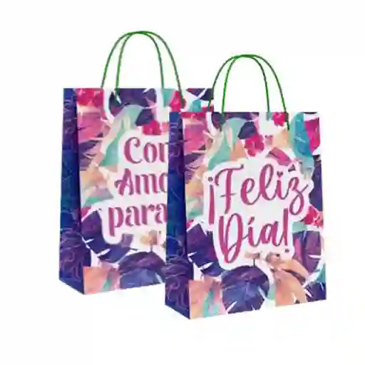 Bolsa De Regalo Tamaño (l) Para Dama