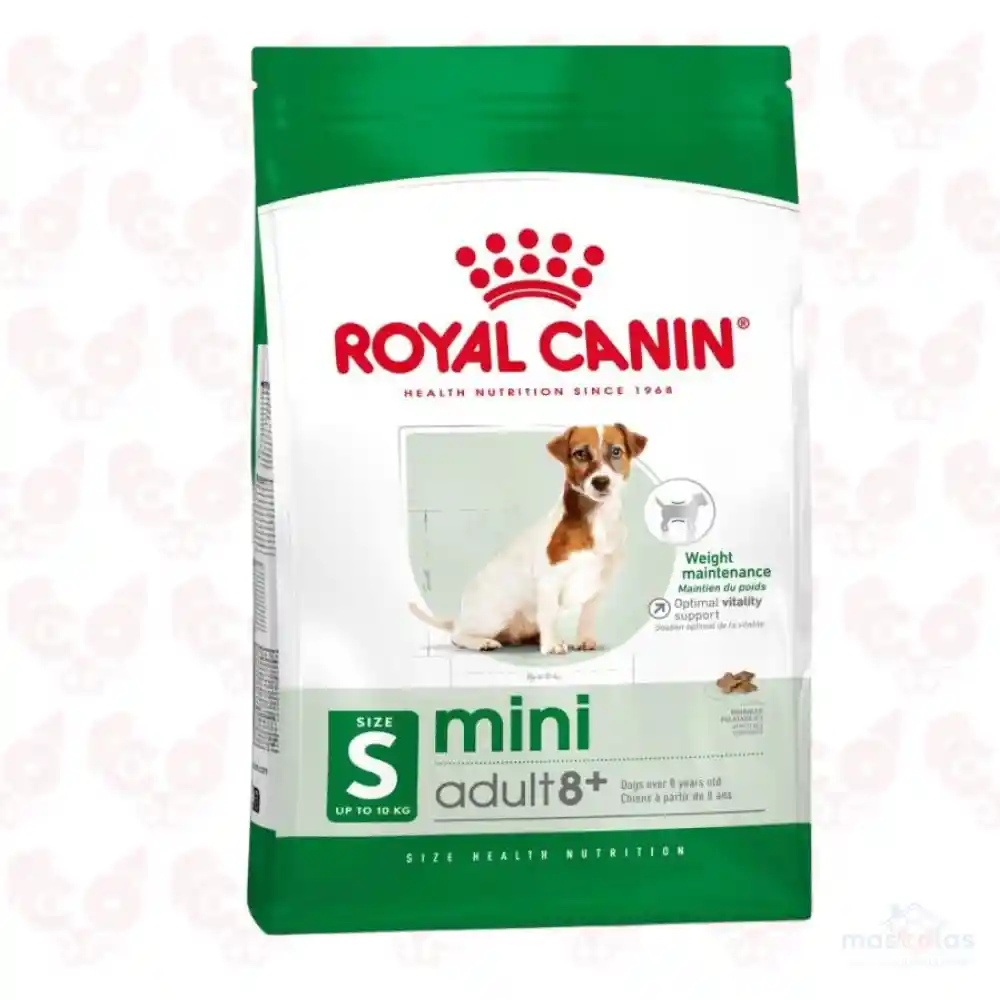 Aliemto Para Perro Royal Canin Mini Adulto Mature +8 2 Kg