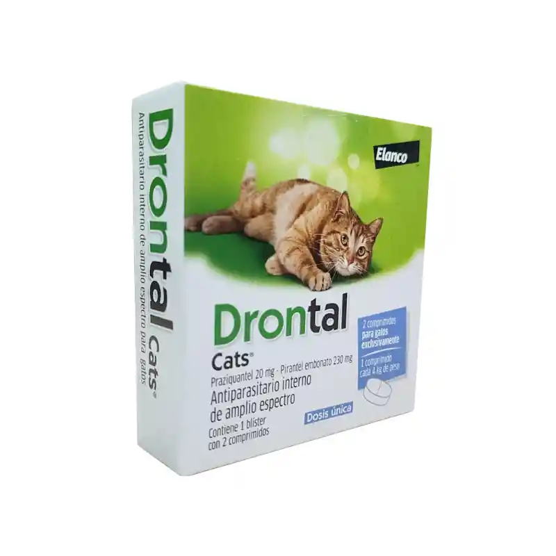 Drontal Gato Antiparasitario