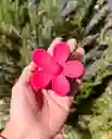 Flor Gancho Para El Cabello