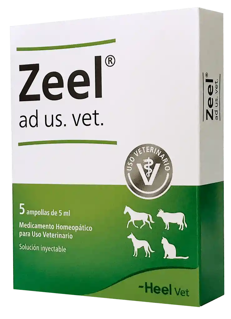 Zeel Ud Us. Veterinario X 5 Ampollas De 5ml