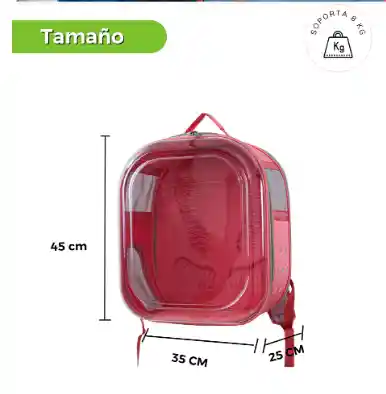 Morral Transparente Rosado