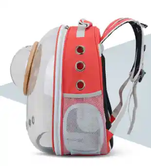 Morral Transparente Con Capsula Rojo