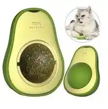 Catnip Aguacate Para Gatos