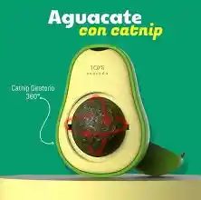 Catnip Aguacate Para Gatos