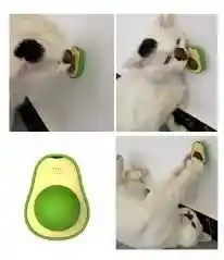 Catnip Aguacate Para Gatos