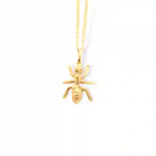 Cadena Con Hormiga Pequeña