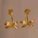 Aretes Orquidea P Crassilabia Hoja Hiedra