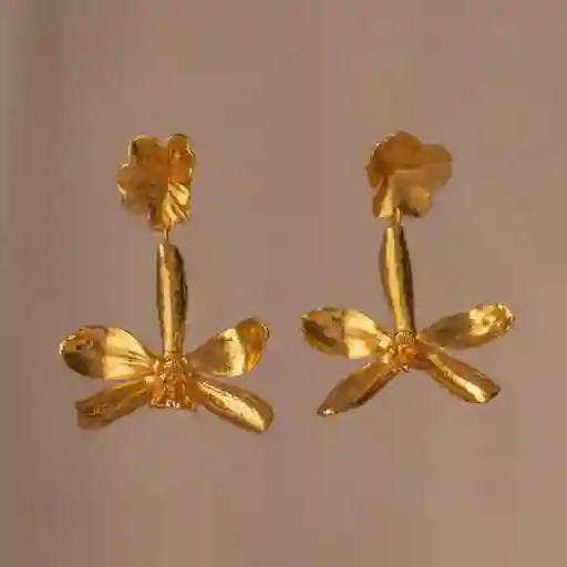 Aretes Orquidea P Crassilabia Hoja Hiedra
