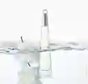 Perfume Issey Miyake L'eau D'issey Mujer (100 Ml)