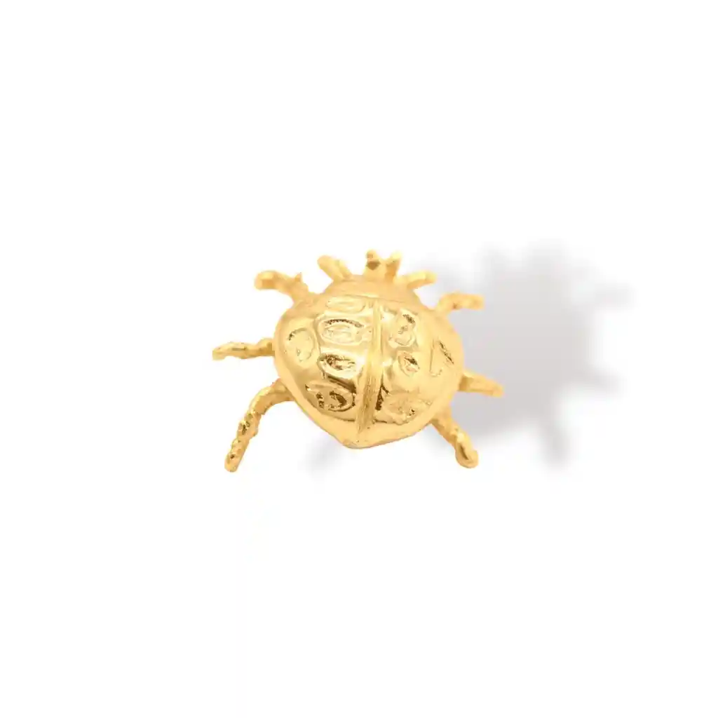 Pin De Mariquita Grande