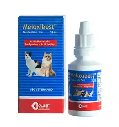 Meloxibest 10 Ml