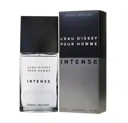 Perfume Issey Miyake L'eau D'issey Pour Home Intense (125 Ml)
