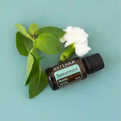 Aceite Esencial De Hierbabuena 15ml Doterra