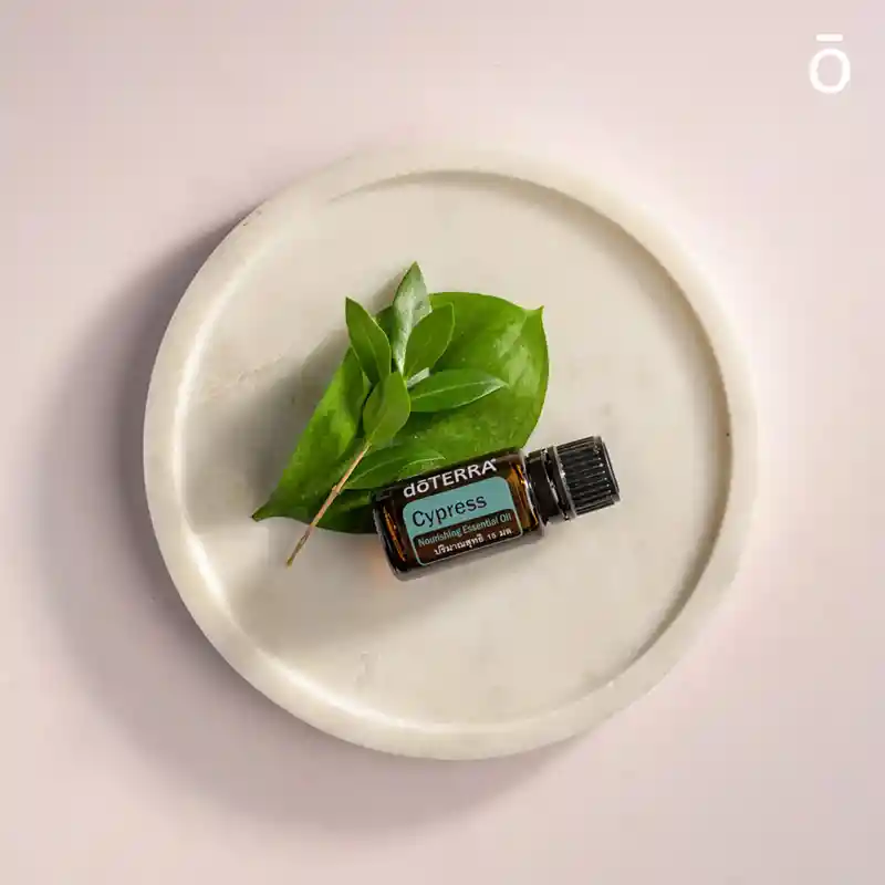 Aceite Esencial De Ciprés 15 Ml Doterra