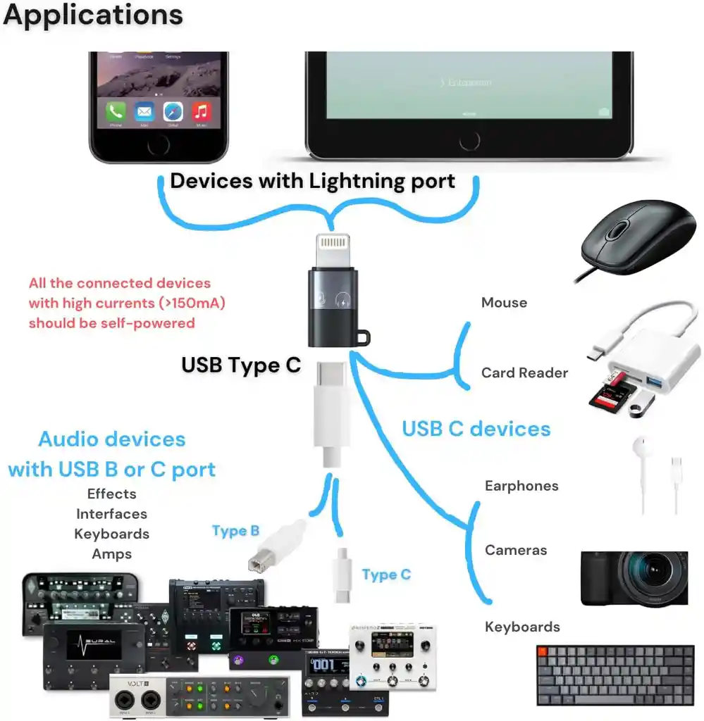 Adaptador Cabeza Usb C Hembra A Lightning Macho