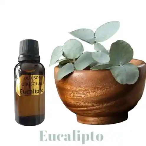 Esencia Hidrosoluble Eucalipto Para Difusor/ Humidificador