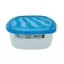 Contenedor Libre De Bpa Reutilizable Para Alimentos