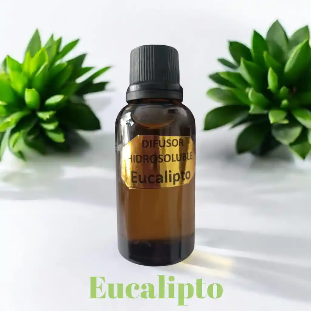 Esencia Hidrosoluble Eucalipto Para Difusor/ Humidificador