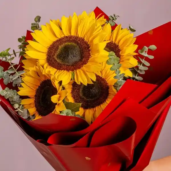 Bouquete Girasol Y Eucalipto Baby