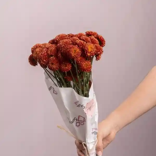 Bouquete Pinoquio