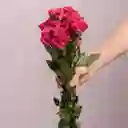 Bouquete Mini Rosas