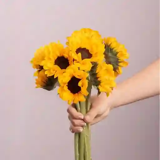 Bouquete Mini Girasol