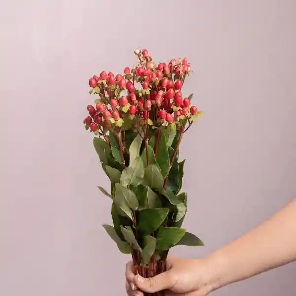 Bouquete Hipericum Rojo