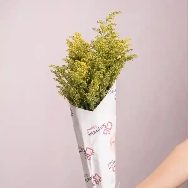 Bouquete Solidago